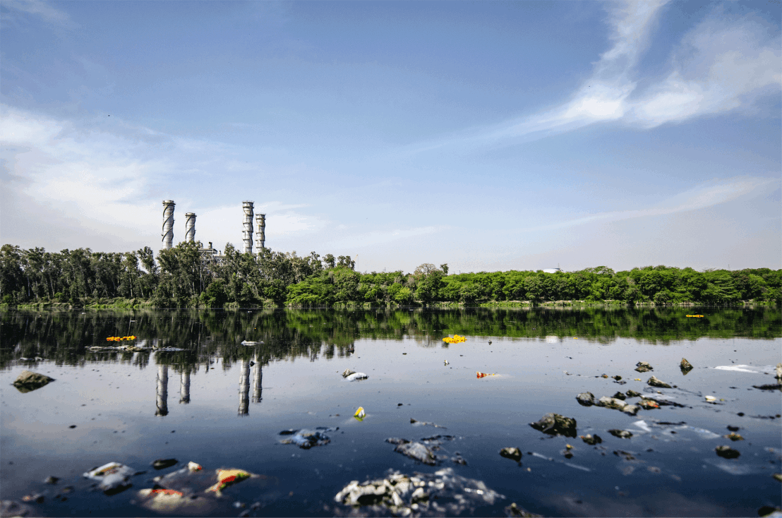 protección al ambiente